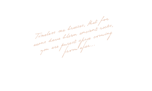 https://sydneygracebridal.co.uk/wp-content/uploads/2020/12/floating_text.png